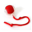 Pet Indoor Intelligent Interactive Toy Ball