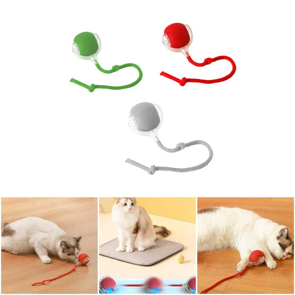 Pet Indoor Intelligent Interactive Toy Ball