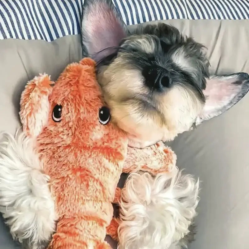 🔥Floppy Lobster Interactive Dog Toy – Gulfmallshop